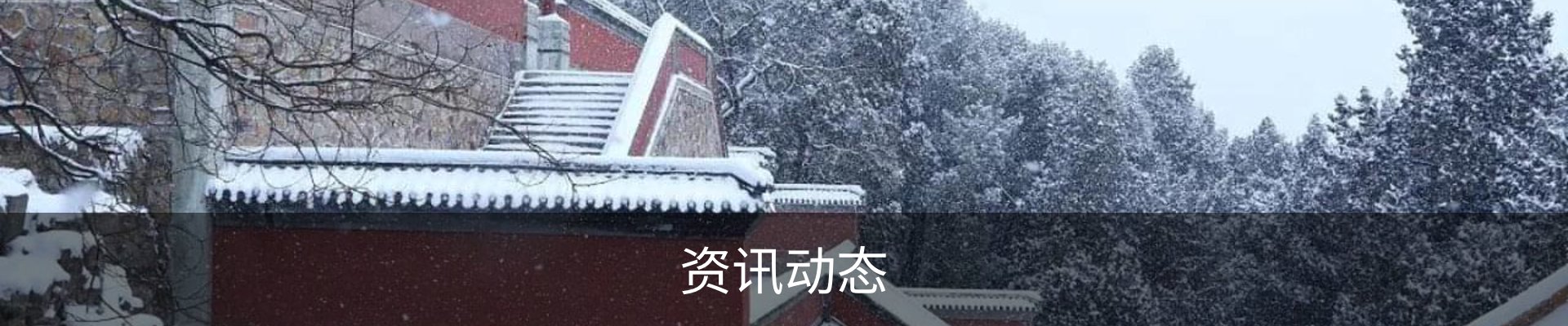 资讯动态